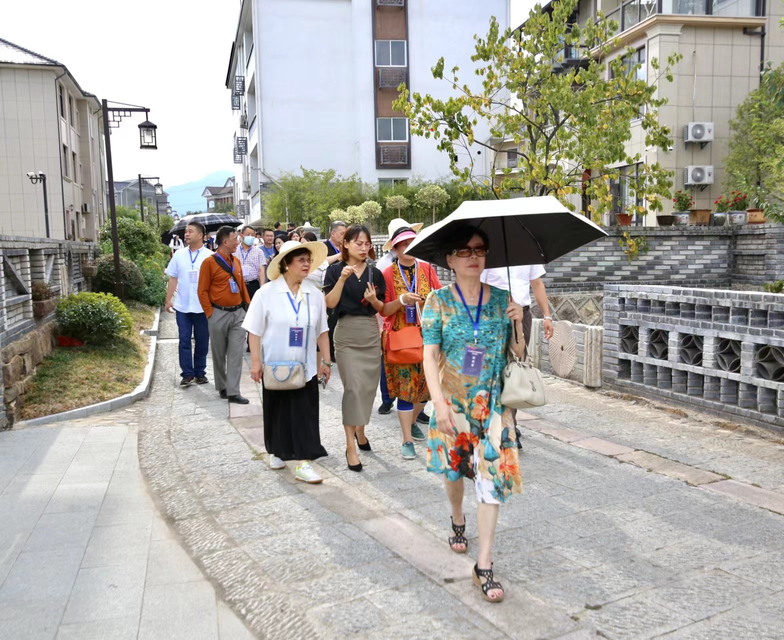 白牛村“牛”,海外华媒盛赞淘宝网红村——昌化白牛村-图片2