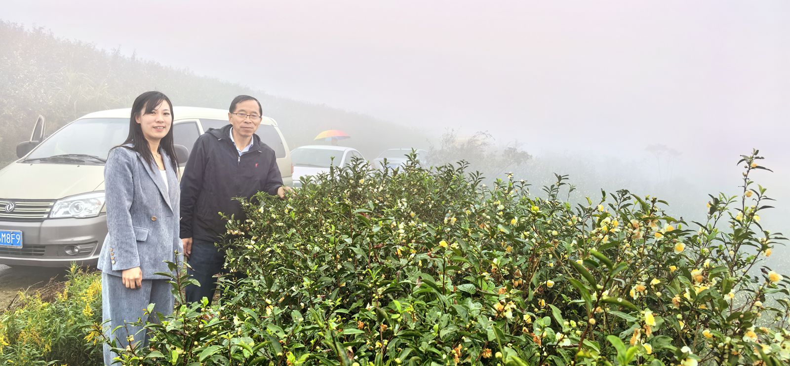 宁波杨山村旅游节启航 生态红茶绽放光彩