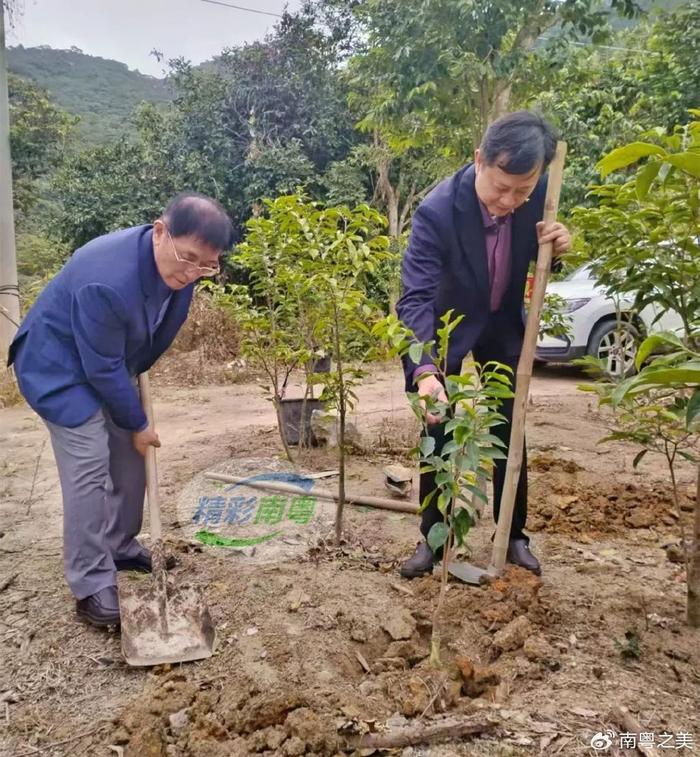 电白：马最良、张晓武一行到访沉香山参观考察-图片2