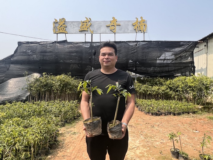 华文媒体中国沉香之乡考察行-图片8