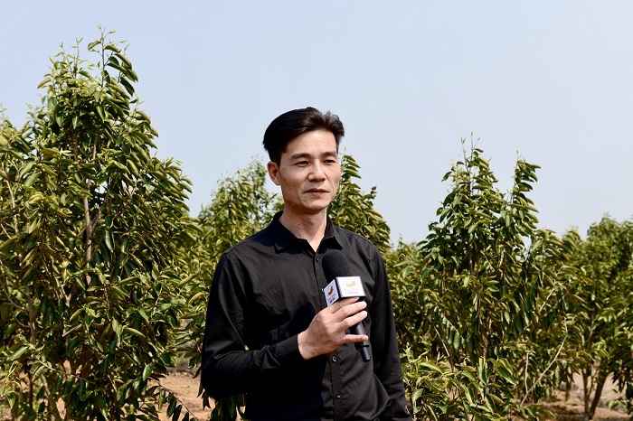 华文媒体中国沉香之乡考察行