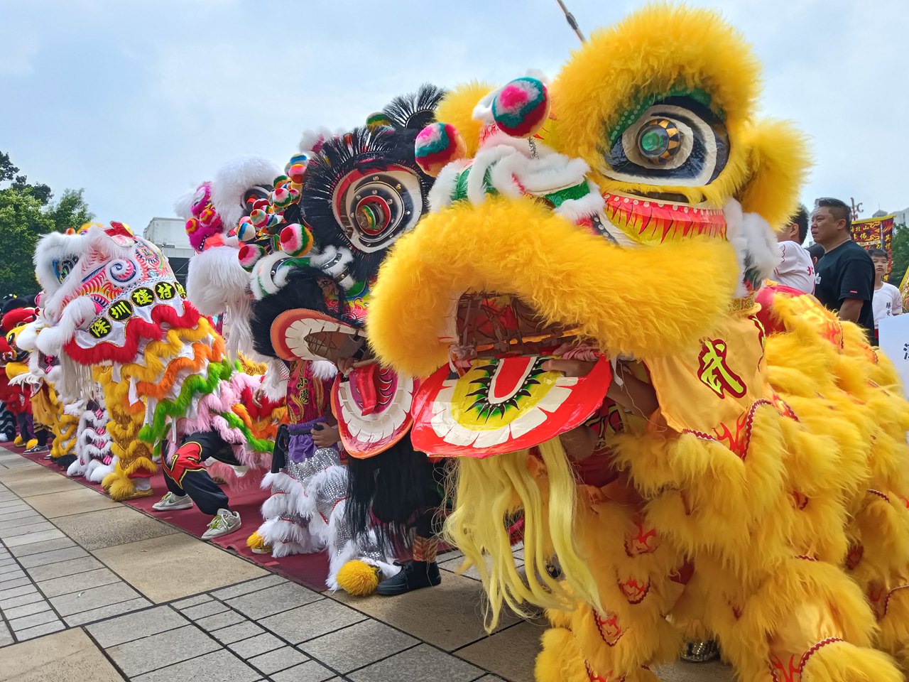 湾区盛事:蔡李佛青少年狮艺大赛江门开赛
