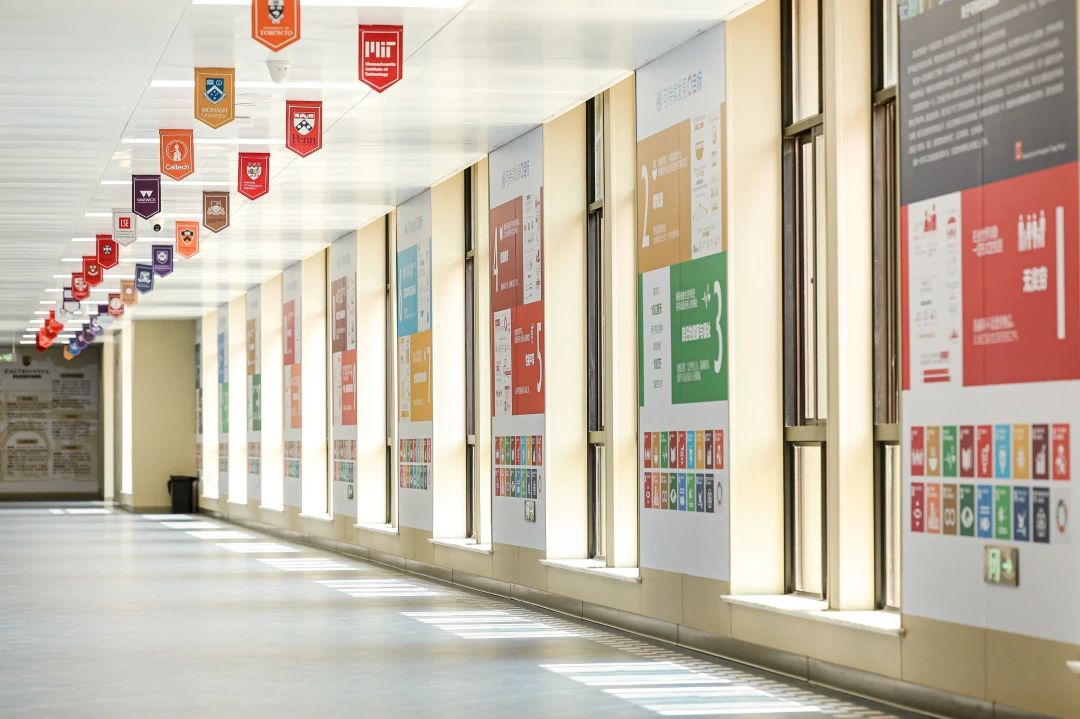 DSE+A-level,2025慈吉高中打造世界名校双通道-图片5