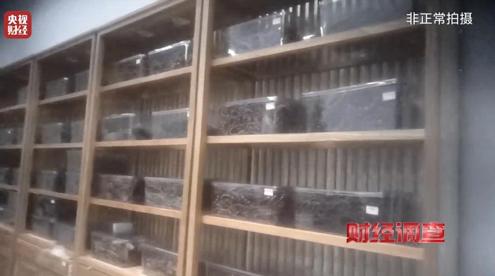 以次充好、直接造假!假沉香也能拿证书!总台《财经调查》曝光沉香市场乱象→