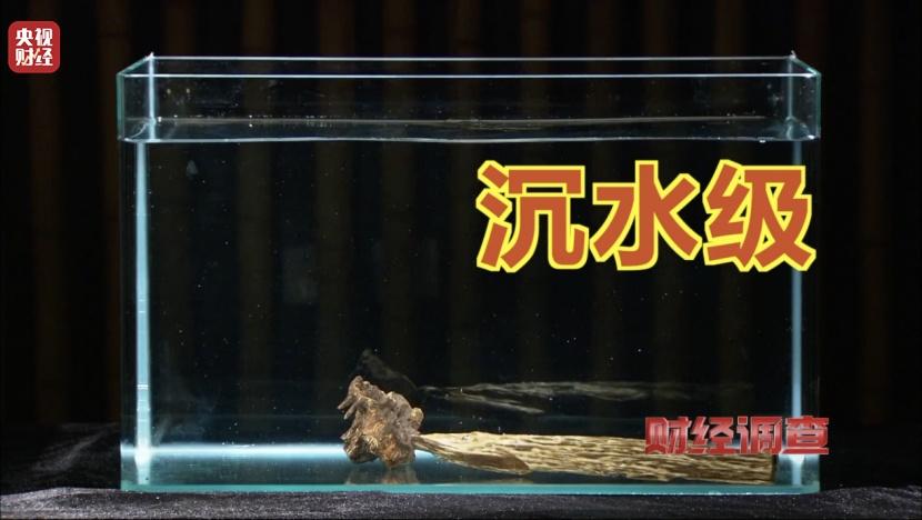 以次充好、直接造假!假沉香也能拿证书!总台《财经调查》曝光沉香市场乱象→