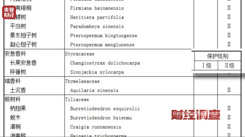 以次充好、直接造假!假沉香也能拿证书!总台《财经调查》曝光沉香市场乱象→
