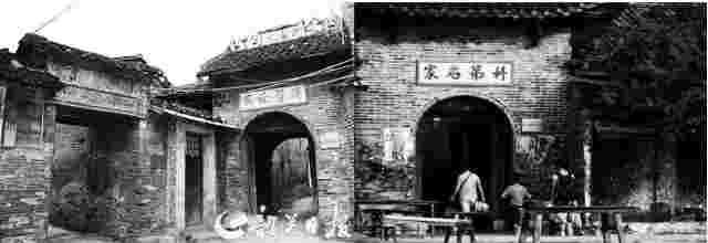 千年古村育佳稻 邓泗洲品牌稻米获评“2025中国最美县域指定大米”-图片1