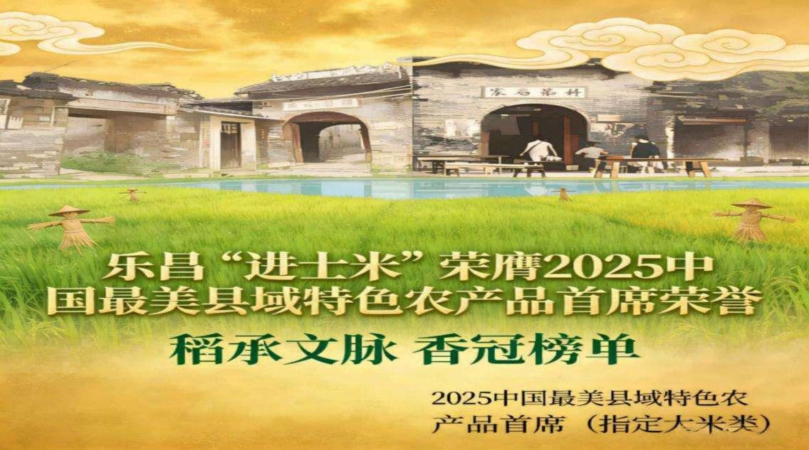 邓泗洲与粤北功能性农业水稻发展路-图片9