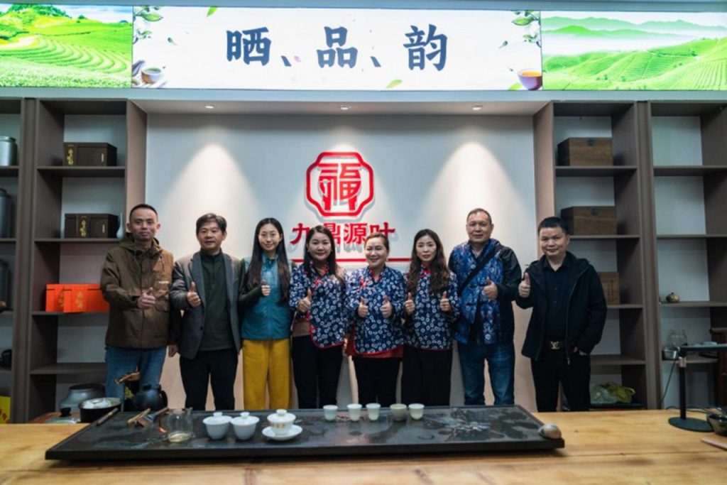 洪紫千:福鼎白茶越老越值钱?-图片7