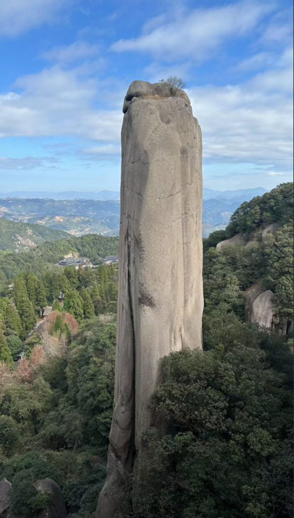 洪紫千:福鼎白茶越老越值钱?-图片4