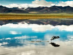 追逐光影的脚步麦克·山下纪实摄影分享会