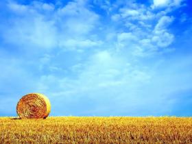 【童言无忌话乡愁】中国乡村儒学复兴行动专家讲师的奇葩告白