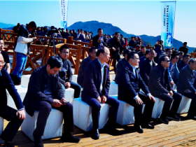 春风又绿天台山,邀你去浙江宁海桑洲镇品茶赏花