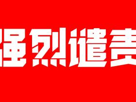 世界洪门组织(WHO)强烈谴责赖清德“四大支柱”论调