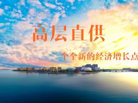 陈渭祺:论高层直供的必要性及市场意义——一个全新的经济增长点