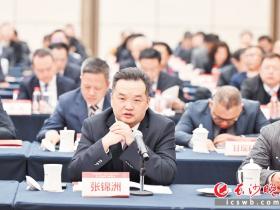 中国国际文化传播中心执行秘书长、香港中国和平统一促进会副会长张锦洲:为长沙招商再担当再加力