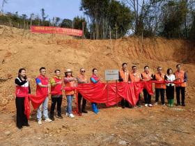 侨都三月,侨胞回乡为家园植树添绿