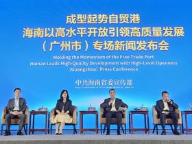 海南自贸港:国内国际合作谱写发展新篇章