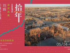 台山侨乡最关注:图看沙漠里的脱贫故事