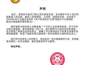菲律宾中国洪门致公党东棉省支部就《关于依法惩治“台独”顽固分子分裂国家、 煽动分裂国家犯罪的意见》发表声明