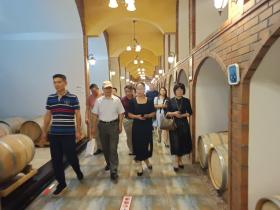 助力中小企业解困 赋能宁夏经济发展  --中小企业融通创新专家团赴中国葡萄酒第一镇红寺堡调研