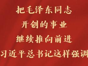 作家洪斌颂歌:毛泽东名言与中华辉煌的壮丽交响