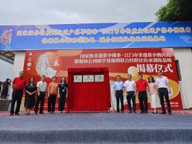 侨武结合的典范:当百年祠堂遇上国宝非遗