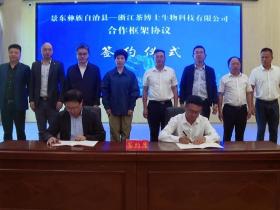 茶博士控股携手景东彝族自治县,签署脱咖技术合作协议,共绘茶产业新篇章