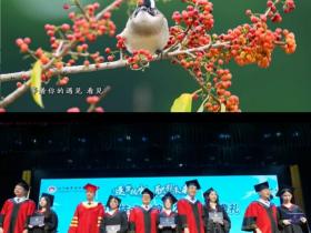 省级短视频大赛揭晓,江门侨界喜获殊荣