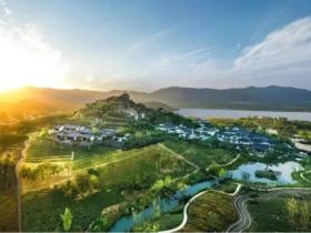 食为媒,传承弘扬中华优秀传统文化