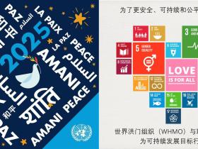 世界洪门组织2025年工作计划