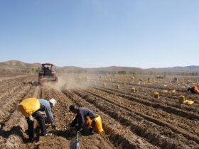 内蒙古卓资县:“志”、“智”帮扶 扶起脱贫攻坚“掉队人”