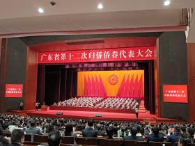 林春晖当选广东省侨联副主席