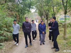 电白:马最良、张晓武一行到访沉香山参观考察