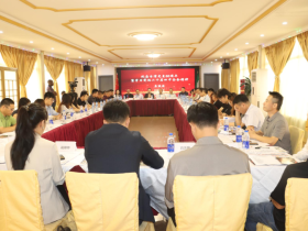 中国驻拉各斯总领馆与西非暨尼日利亚中国和统会成功举办“纪念台湾光复80周年暨学习党的二十届四中全会精神”座谈会