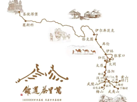 忠义茶香传千年:从陈氏家族迁徙到木杨城茶叶的当代复兴