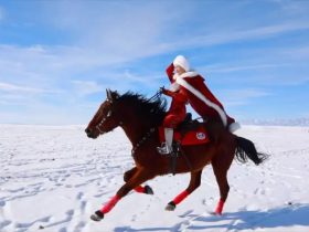 中国文旅“局长下场”热背后的隐忧:部门抢戏与民营机会缺失