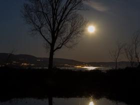「丙午春节故事」除夕独坐
