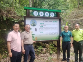 微生物发酵赋能药食同源:乐昌竹筒粽演绎杜仲叶新质生产力传奇