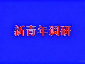 我国知识产权立法与司法实践的制度短板、裁判漏洞及完善路径研究