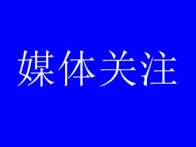 无根之木难参天:对中国足球发展路径的再思考